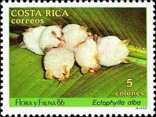 Honduran White Bat Stamp